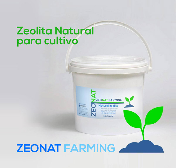 Zeolita- Liberadora de Nutrientes en Plantas – Tesucc Plantas y