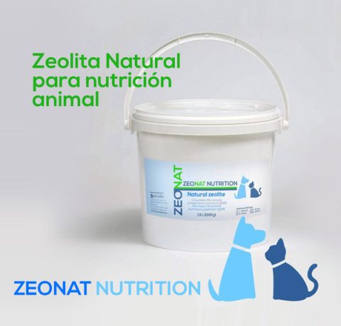 Zeolitas | Zeolita Natural. Zeolita Sintética - Sercalia