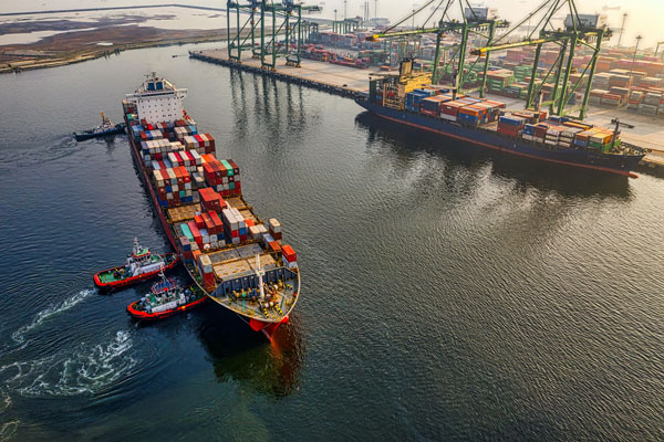 Sistema de protección. Logística. Transporte marítimo. Sercalia