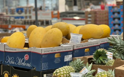 Absorbentes de humedad para alimentos